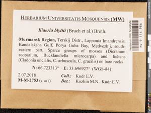 Arctoa blyttii (Bruch & Schimp.) Loeske, Bryophytes, Bryophytes - Karelia, Leningrad & Murmansk Oblasts (B4) (Russia)