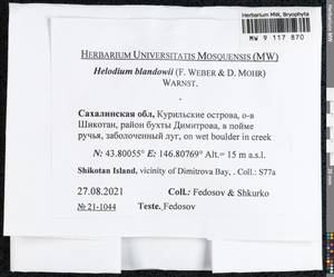 Helodium blandowii (F. Weber & D. Mohr) Warnst., Bryophytes, Bryophytes - Russian Far East (excl. Chukotka & Kamchatka) (B20) (Russia)