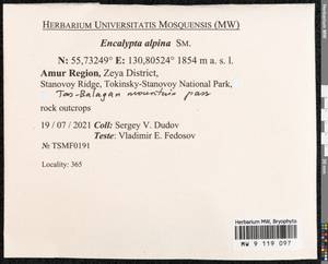 Encalypta alpina Sm., Bryophytes, Bryophytes - Russian Far East (excl. Chukotka & Kamchatka) (B20) (Russia)