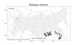 Medicago ruthenica (L.) Trautv., Atlas of the Russian Flora (FLORUS) (Russia)