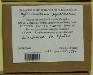 Hylocomiastrum pyrenaicum (Spruce) M. Fleisch. ex Broth., Bryophytes, Bryophytes - Russian Far East (excl. Chukotka & Kamchatka) (B20) (Russia)