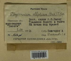 Plagiomnium ellipticum (Brid.) T.J. Kop., Bryophytes, Bryophytes - Permsky Krai, Udmurt Republic, Sverdlovsk & Kirov Oblasts (B8) (Russia)