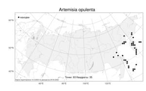 Artemisia vulgaris subsp. vulgaris, Atlas of the Russian Flora (FLORUS) (Russia)