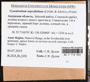 Cynodontium asperifolium (Lindb. ex Arnell) Paris, Bryophytes, Bryophytes - Russian Far East (excl. Chukotka & Kamchatka) (B20) (Russia)