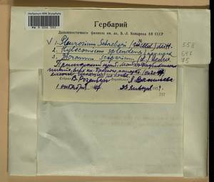 Pleurozium schreberi (Willd. ex Brid.) Mitt., Bryophytes, Bryophytes - Russian Far East (excl. Chukotka & Kamchatka) (B20) (Russia)