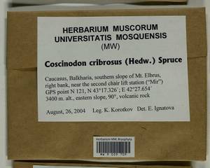 Coscinodon cribrosus (Hedw.) Spruce, Bryophytes, Bryophytes - North Caucasus & Ciscaucasia (B12) (Russia)
