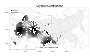 Dryopteris carthusiana (Vill.) H. P. Fuchs, Atlas of the Russian Flora (FLORUS) (Russia)