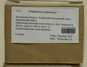 Polytrichum juniperinum Hedw., Bryophytes, Bryophytes - Chukotka & Kamchatka (B21) (Russia)
