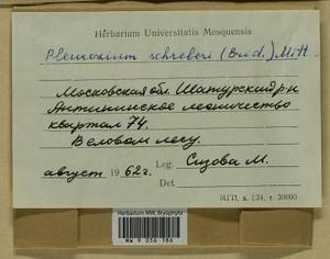 Pleurozium schreberi (Willd. ex Brid.) Mitt., Bryophytes, Bryophytes - Moscow City & Moscow Oblast (B6a) (Russia)