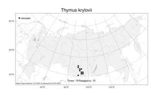 Thymus krylovii Byczenn., Atlas of the Russian Flora (FLORUS) (Russia)