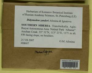 Husnotiella rufidula (Müll. Hal.) J.A. Jiménez & M.J. Cano, Bryophytes, Bryophytes - Baikal & Transbaikal regions (B18) (Russia)