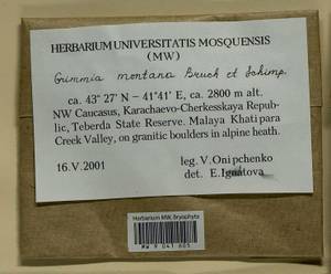 Grimmia montana Bruch & Schimp., Bryophytes, Bryophytes - North Caucasus & Ciscaucasia (B12) (Russia)