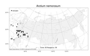 Arctium nemorosum Lej., Atlas of the Russian Flora (FLORUS) (Russia)