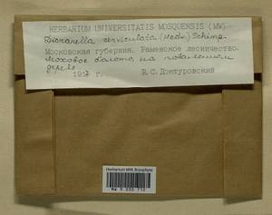 Dicranella cerviculata (Hedw.) Schimp., Bryophytes, Bryophytes - Moscow City & Moscow Oblast (B6a) (Russia)