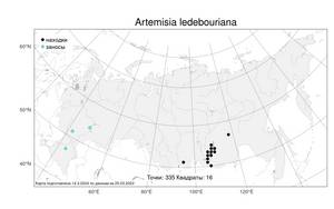 Artemisia ledebouriana Besser, Atlas of the Russian Flora (FLORUS) (Russia)