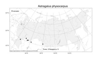 Astragalus physocarpus Ledeb., Atlas of the Russian Flora (FLORUS) (Russia)
