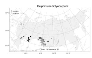 Delphinium dictyocarpum DC., Atlas of the Russian Flora (FLORUS) (Russia)