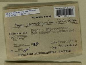 Ptychostomum pseudotriquetrum (Hedw.) J.R. Spence & H.P. Ramsay, Bryophytes, Bryophytes - Permsky Krai, Udmurt Republic, Sverdlovsk & Kirov Oblasts (B8) (Russia)