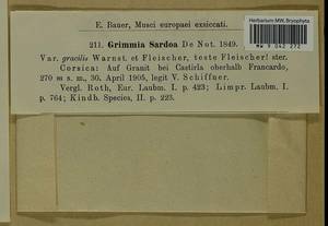 Grimmia trichophylla Grev., Bryophytes, Bryophytes - Western Europe (BEu) (France)