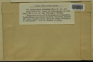Plasteurhynchium striatulum (Spruce) M. Fleisch., Bryophytes, Bryophytes - Western Europe (BEu) (Austria)