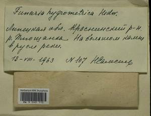 Funaria hygrometrica Hedw., Bryophytes, Bryophytes - Central forest-and-steppe region (B10) (Russia)