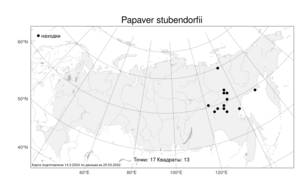 Papaver stubendorfii Tolm., Atlas of the Russian Flora (FLORUS) (Russia)