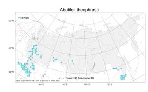 Abutilon theophrasti Medik., Atlas of the Russian Flora (FLORUS) (Russia)