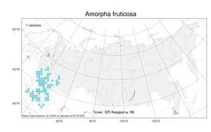 Amorpha fruticosa L., Atlas of the Russian Flora (FLORUS) (Russia)