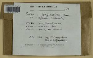 Grimmia longirostris Hook., Bryophytes, Bryophytes - Krasnoyarsk Krai, Tyva & Khakassia (B17) (Russia)