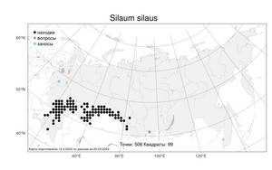 Silaum silaus (L.) Schinz & Thell., Atlas of the Russian Flora (FLORUS) (Russia)