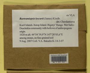 Bartramiopsis lescurii (James) Kindb., Bryophytes, Bryophytes - Russian Far East (excl. Chukotka & Kamchatka) (B20) (Russia)