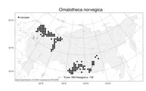 Omalotheca norvegica (Gunnerus) Sch. Bip. & F. W. Schultz, Atlas of the Russian Flora (FLORUS) (Russia)