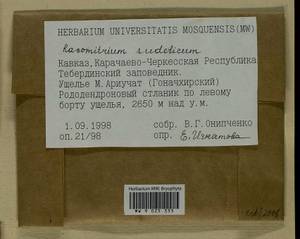 Bucklandiella sudetica (Funck) Bedn.-Ochyra & Ochyra, Bryophytes, Bryophytes - North Caucasus & Ciscaucasia (B12) (Russia)
