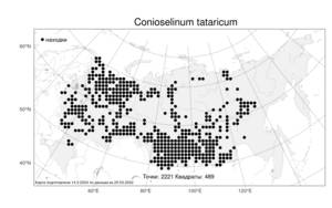 Conioselinum tataricum Hoffm., Atlas of the Russian Flora (FLORUS) (Russia)