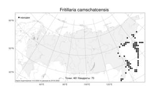 Fritillaria camschatcensis (L.) Ker Gawl., Atlas of the Russian Flora (FLORUS) (Russia)