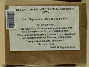 Plagiomnium affine (Blandow ex Funck) T.J. Kop., Bryophytes, Bryophytes - Middle Russia (B6) (Russia)