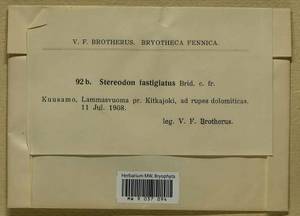 Drepanium fastigiatum (Brid.) Lange & C.E.O. Jensen, Bryophytes, Bryophytes - Karelia, Leningrad & Murmansk Oblasts (B4) (Russia)