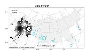 Viola tricolor L., Atlas of the Russian Flora (FLORUS) (Russia)