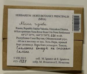 Aloina rigida (Hedw.) Limpr., Bryophytes, Bryophytes - Yakutia (B19) (Russia)