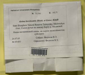 Aloina brevirostris (Hook. & Grev.) Kindb., Bryophytes, Bryophytes - Krasnoyarsk Krai, Tyva & Khakassia (B17) (Russia)