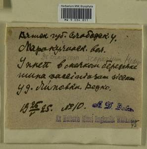 Dicranum scoparium Hedw., Bryophytes, Bryophytes - Permsky Krai, Udmurt Republic, Sverdlovsk & Kirov Oblasts (B8) (Russia)