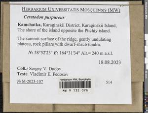 Ceratodon purpureus (Hedw.) Brid., Bryophytes, Bryophytes - Chukotka & Kamchatka (B21) (Russia)