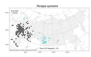 Rorippa sylvestris (L.) Besser, Atlas of the Russian Flora (FLORUS) (Russia)