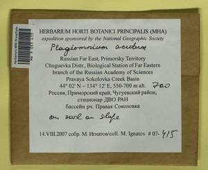 Plagiomnium acutum (Lindb.) T.J. Kop., Bryophytes, Bryophytes - Russian Far East (excl. Chukotka & Kamchatka) (B20) (Russia)