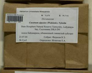 Cnestrum alpestre (Wahlenb.) Nyholm, Bryophytes, Bryophytes - Krasnoyarsk Krai, Tyva & Khakassia (B17) (Russia)