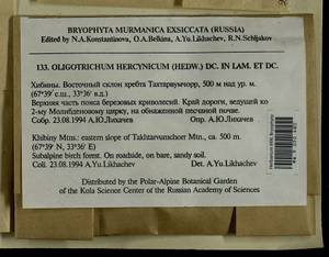 Oligotrichum hercynicum (Hedw.) DC., Bryophytes, Bryophytes - Karelia, Leningrad & Murmansk Oblasts (B4) (Russia)