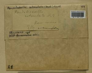 Pseudoleskeella catenulata (Brid. ex Schrad.) Kindb., Bryophytes, Bryophytes - Western Siberia (including Altai) (B15) (Russia)