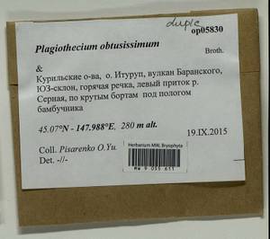 Plagiothecium obtusissimum Broth., Bryophytes, Bryophytes - Russian Far East (excl. Chukotka & Kamchatka) (B20) (Russia)