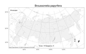 Broussonetia papyrifera (L.) L'Hér. ex Vent., Atlas of the Russian Flora (FLORUS) (Russia)