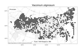 Vaccinium uliginosum L., Atlas of the Russian Flora (FLORUS) (Russia)